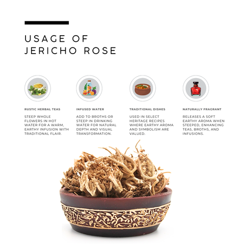 Jericho Rose | Chajarat Mariam