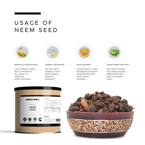 Neem Seeds (Nim / Margosa) – Azadirachta indica