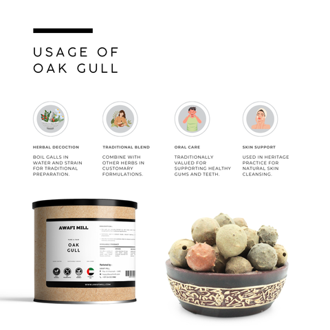 Oak Gall | Gall Wasps