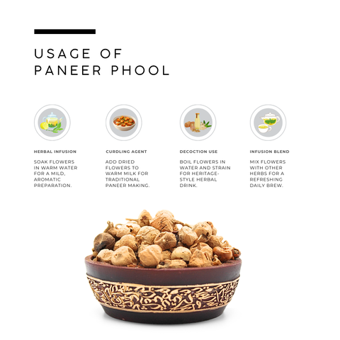 Paneer Phool (Paneer Doda / Indian Rennet) – Withania coagulans