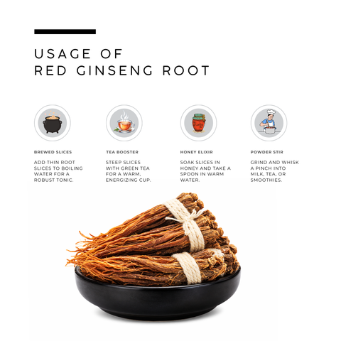 Korean Red Ginseng - Panax Ginseng