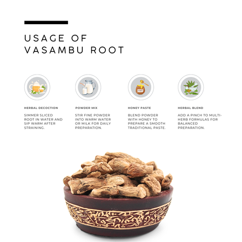 Sweet Flag Root (Vacha / Calamus) - Acorus Calamus