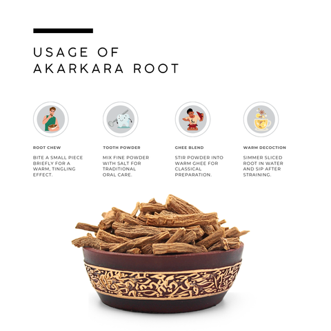 Akarkara Root (Pellitory) - Anacyclus Pyrethrum