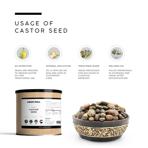 Castor Seeds (Erand / Arandi) – Ricinus communis