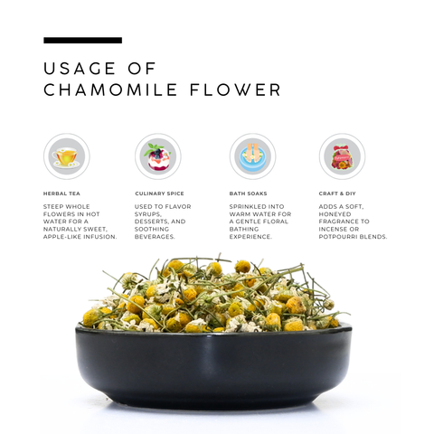Chamomile Flower | Chamaemelum Nobile
