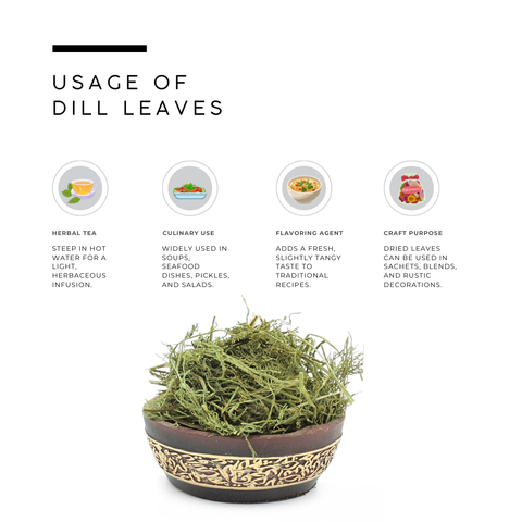 Dried Dill Leaf | Dill Weed