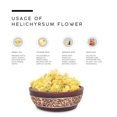 Helichrysum Flower | Helichrysum Italicum