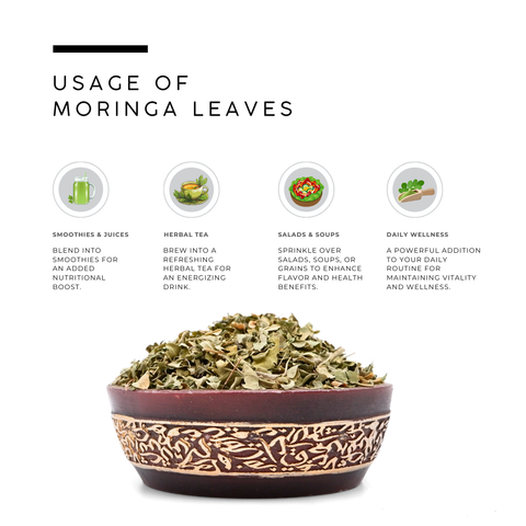 Moringa Leaves (Sahjan Leaves) - Moringa Oleifera