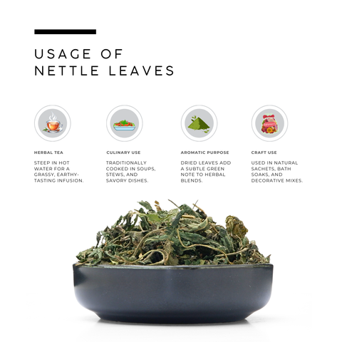 Stinging Nettle Leaves | Urtica Dioica