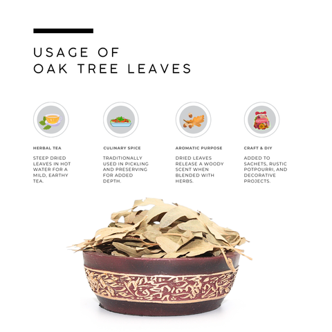 Oak Leaves (Baloot) - Quercus Alba