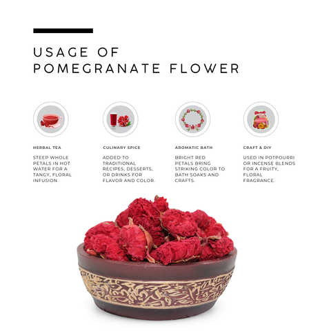 Pomegranate Flower | Punica Granatum