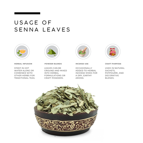 Senna Leaves | Cassia Angustifolia