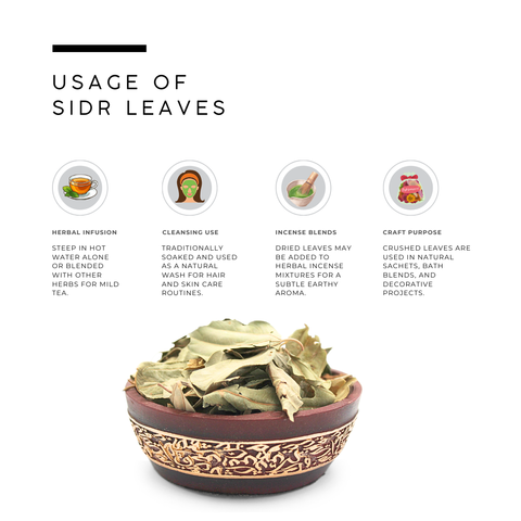 Sidr Leaves (Lote Tree) - Ziziphus Spina-Christi