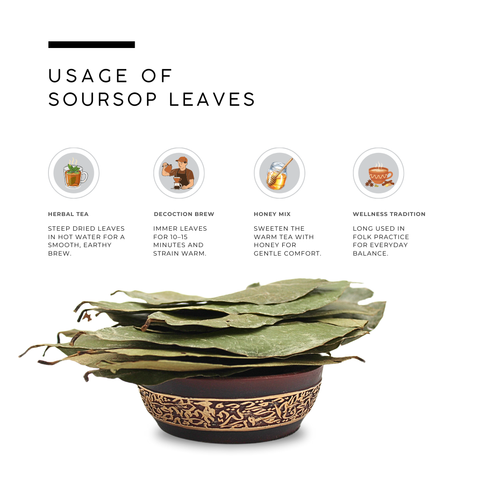 Soursop Leaves | Graviola | Annona Muricata