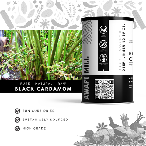 Black Cardamom | Badi Elaichi | Amomum subulatum