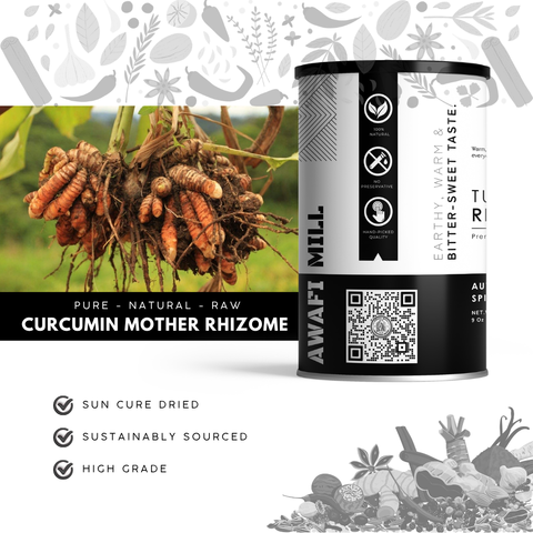 Turmeric Mother Rhizome | Haldi Gath | Curcuma longa
