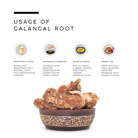 Whole Galangal Root | Alpinia Galanga Rhizome