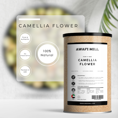 Camellia Flowers – Camellia sinensis