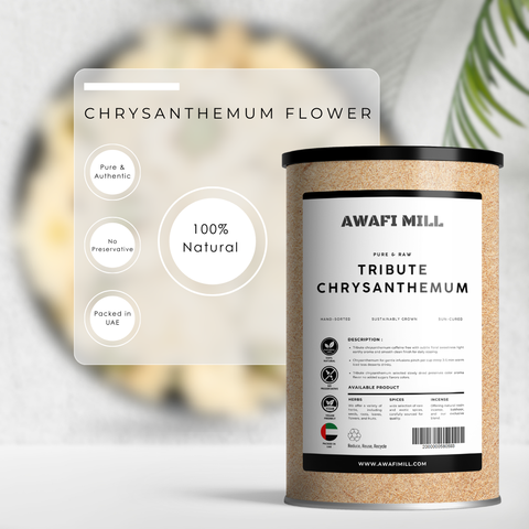 Tribute Chrysanthemum (Gongju) - Chrysanthemum Morifolium