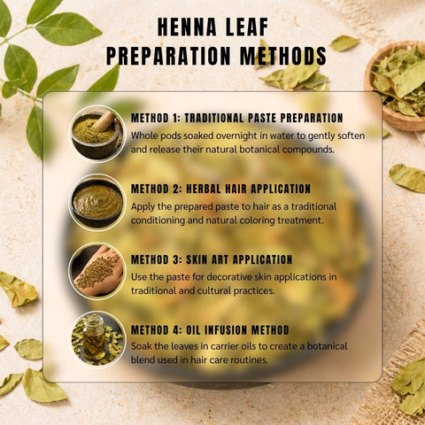 Henna Leaves (Mehendi Leaves) - Lawsonia Inermis