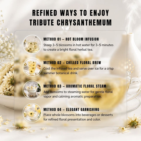 Tribute Chrysanthemum (Gongju) - Chrysanthemum Morifolium