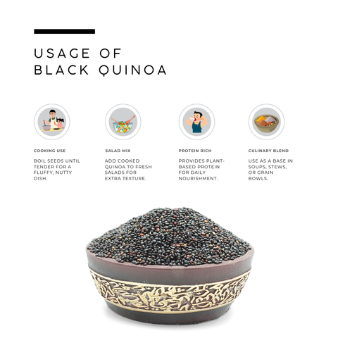 Black Quinoa Seed | Chenopodium Quinoa