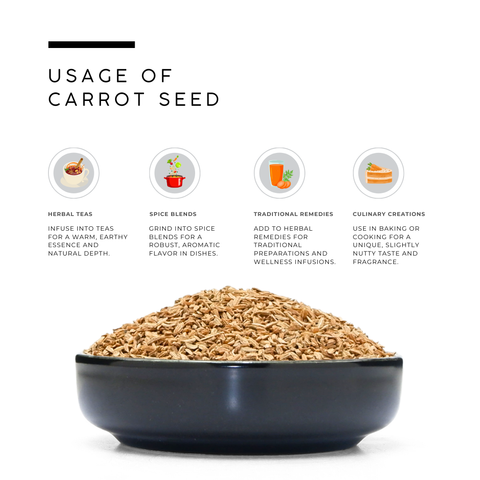 Carrot Seeds (Beej Gajar) – Daucus carota
