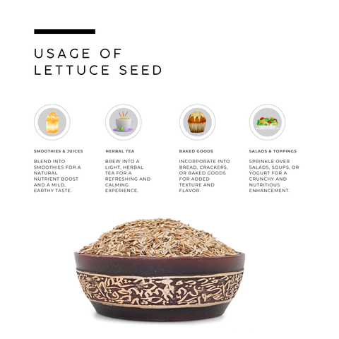 Lettuce Seeds (Tukhm-e-Kahu) – Lactuca sativa