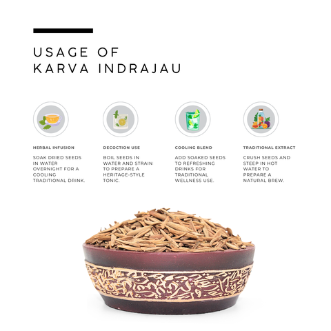 Kadwa Indrajau Seeds (Indrayava / Kutaj) – Holarrhena pubescens