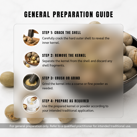 Karanjawa Seeds | Bonduc Nut | Fever Nut | Guilandina bonducella