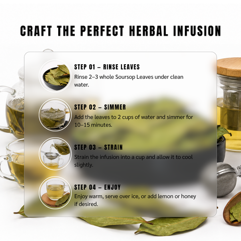 Soursop Leaves | Graviola | Guanabana | Annona muricata