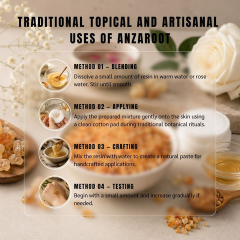 Anzaroot Resin (Sarcocolla) - Astragalus Sarcocolla