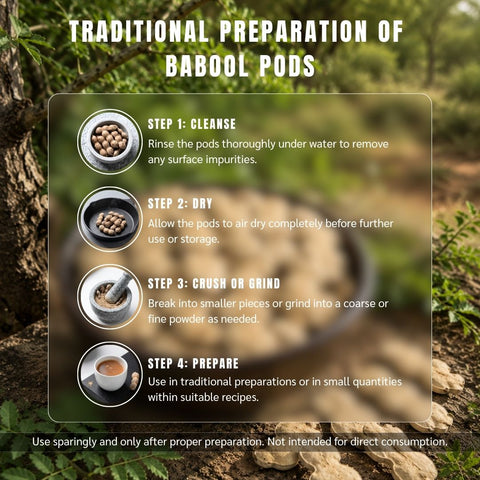 Babool Seeds | Sun-Dried Babul Kikar Tree Seeds