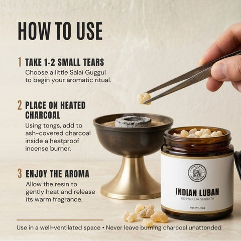 Indian Frankincense Resin |  Salai Guggul |  Boswellia serrata