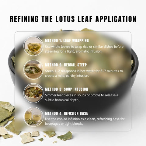 Lotus Leaves (He Ye ) - Nelumbo Nucifera