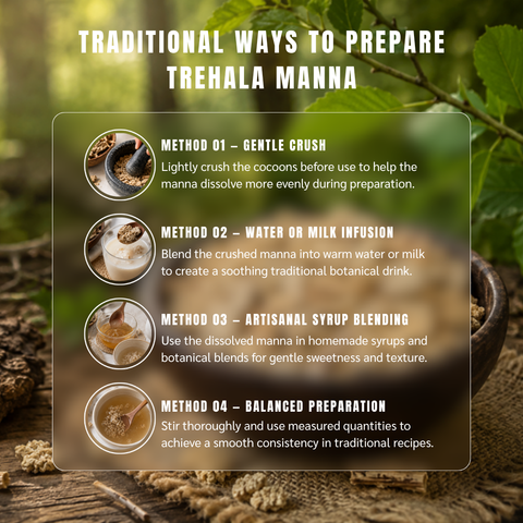 Trehala Manna (Shakar Teghal) - Larinus Maculatus