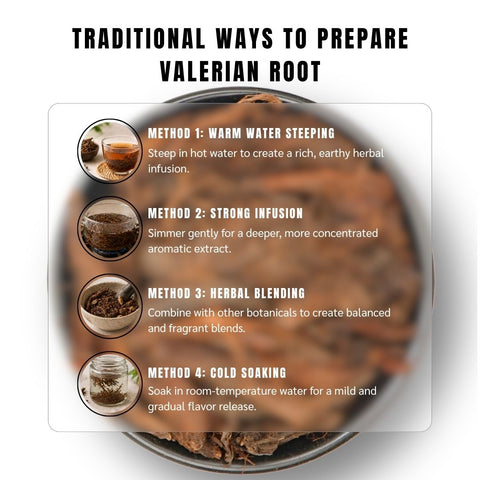 Valerian Root (Jatamansi / Tagar) - Valeriana Officinalis