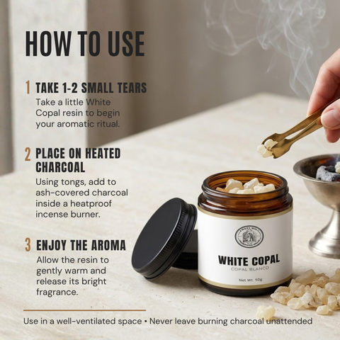 White Copal Resin | Copal Blanco |  Bursera bipinnata
