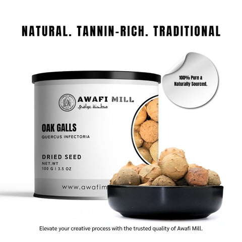Oak Gall | Gall Wasps