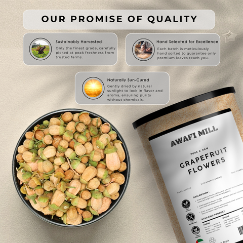 Grapefruit Flower Buds – Citrus Blossom Buds