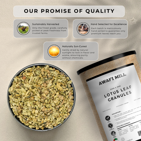 Lotus Leaf Granules (He Ye) – Nelumbo nucifera