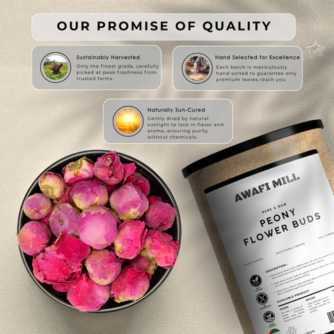 Peony Flower Buds (Shao Yao) - Paeonia Lactiflora