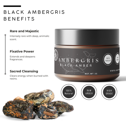 Ambergris - Black Amber | Rare Fragrant Resin