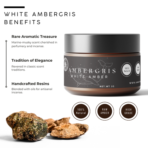 Ambergris - White Amber | Rare Perfume Ingredient