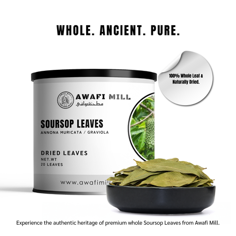 Soursop Leaves | Graviola | Guanabana | Annona muricata