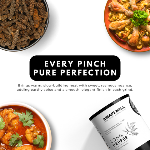 Long Pepper | Pippali | Piper longum