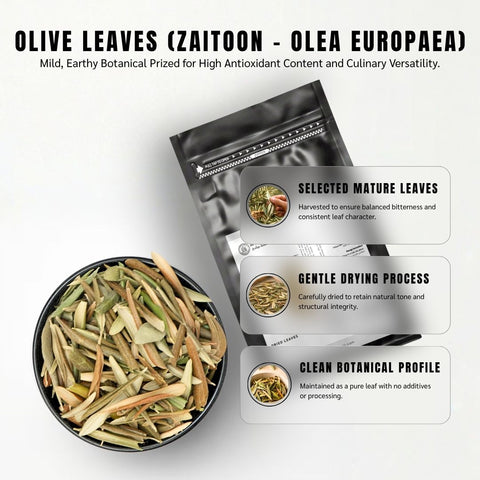 Olive Leaves (Zaitoon) - Olea Europaea