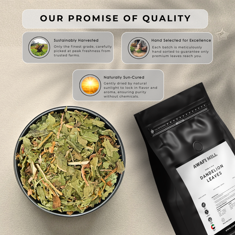 Dandelion Leaves Tea (Taraxacum officinale)