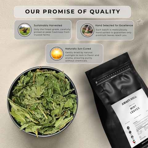 Mint Leaves (Nana) - Mentha Spicata