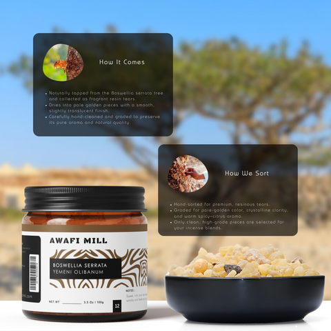 Yemeni Boswellia Serrata | Premium Frankincense Resin